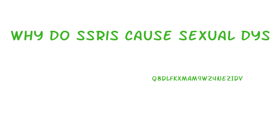 Why Do Ssris Cause Sexual Dysfunction