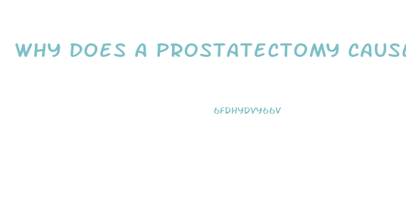 Why Does A Prostatectomy Cause Impotence