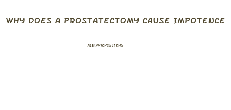 Why Does A Prostatectomy Cause Impotence