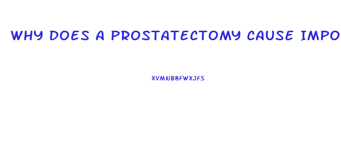 Why Does A Prostatectomy Cause Impotence