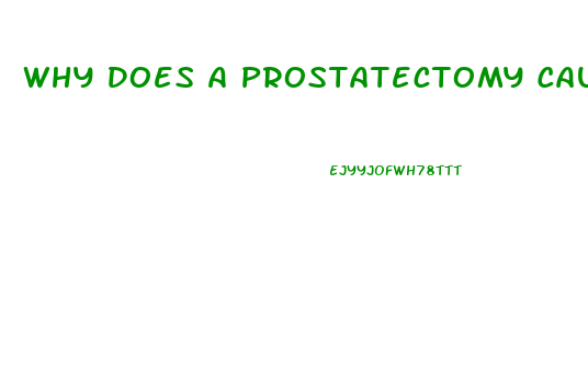 Why Does A Prostatectomy Cause Impotence