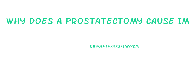 Why Does A Prostatectomy Cause Impotence