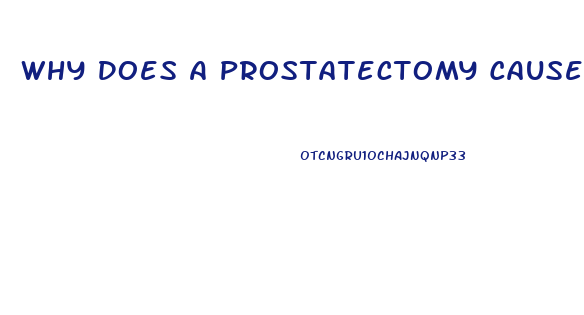 Why Does A Prostatectomy Cause Impotence