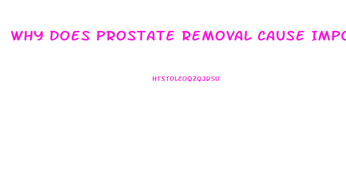 Why Does Prostate Removal Cause Impotence