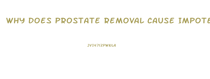 Why Does Prostate Removal Cause Impotence