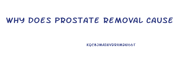 Why Does Prostate Removal Cause Impotence