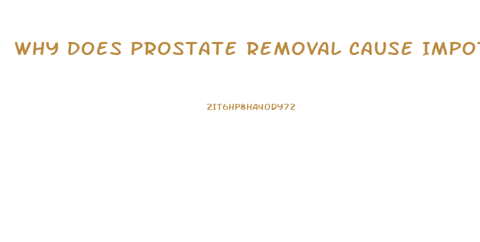 Why Does Prostate Removal Cause Impotence