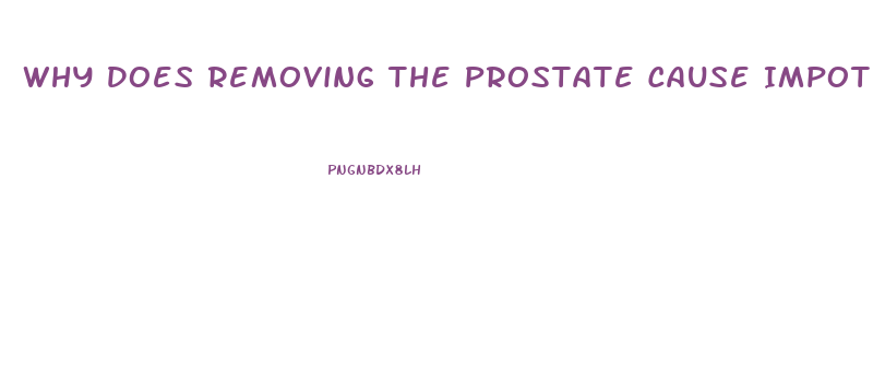 Why Does Removing The Prostate Cause Impotence