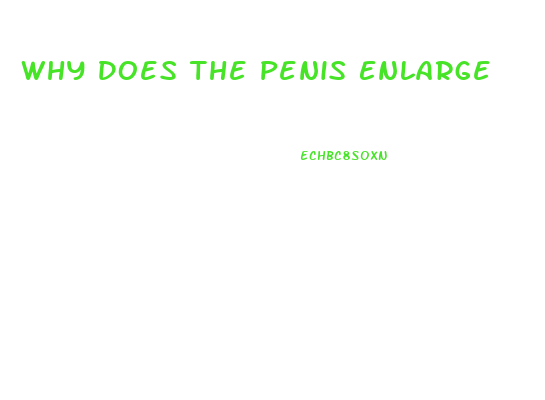 Why Does The Penis Enlarge