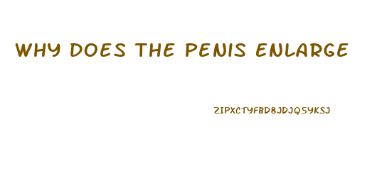 Why Does The Penis Enlarge