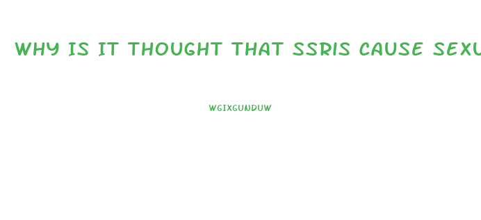 Why Is It Thought That Ssris Cause Sexual Dysfunction