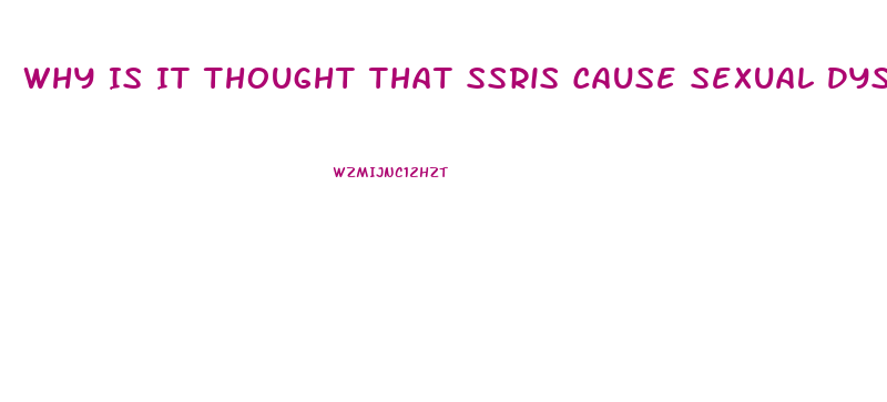 Why Is It Thought That Ssris Cause Sexual Dysfunction