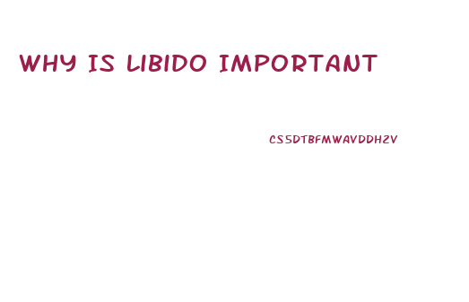 Why Is Libido Important