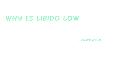 Why Is Libido Low