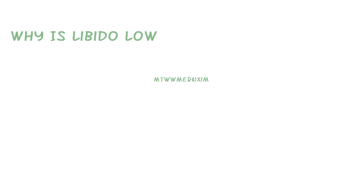 Why Is Libido Low