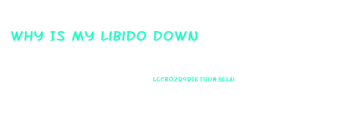 Why Is My Libido Down