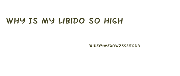 Why Is My Libido So High