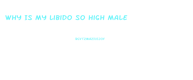 Why Is My Libido So High Male
