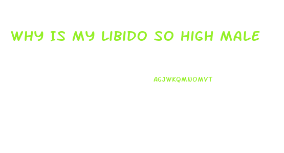 Why Is My Libido So High Male