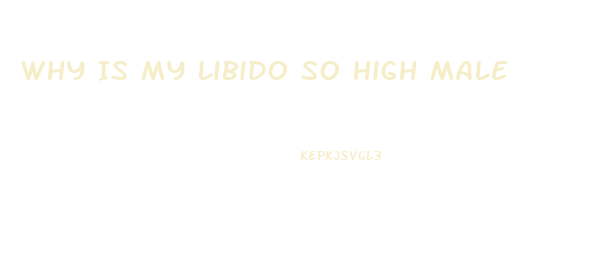 Why Is My Libido So High Male