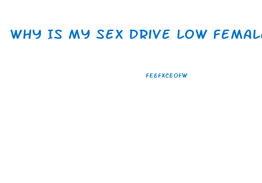 Why Is My Sex Drive Low Female