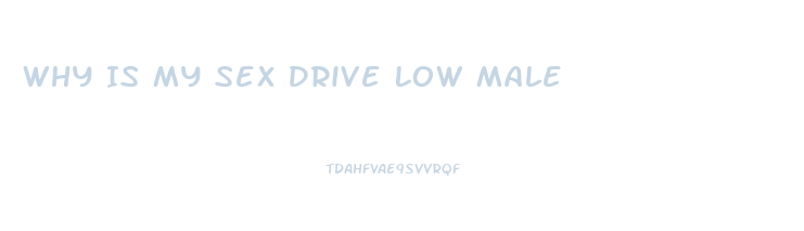 Why Is My Sex Drive Low Male