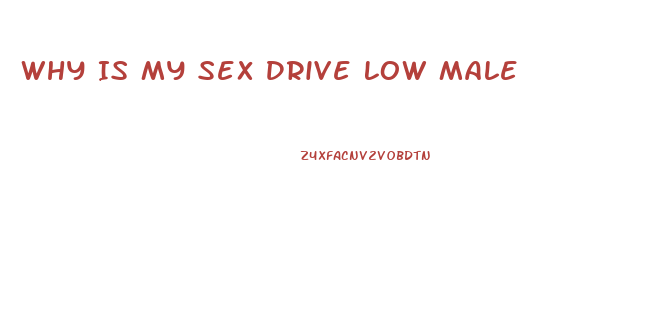 Why Is My Sex Drive Low Male