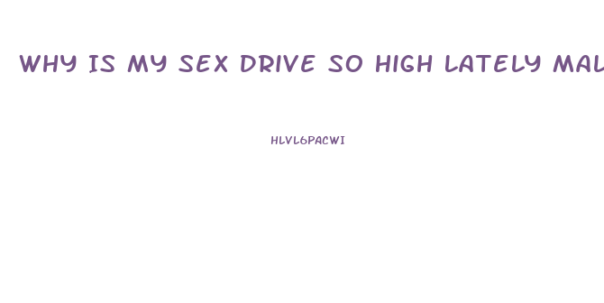 Why Is My Sex Drive So High Lately Male