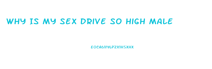 Why Is My Sex Drive So High Male