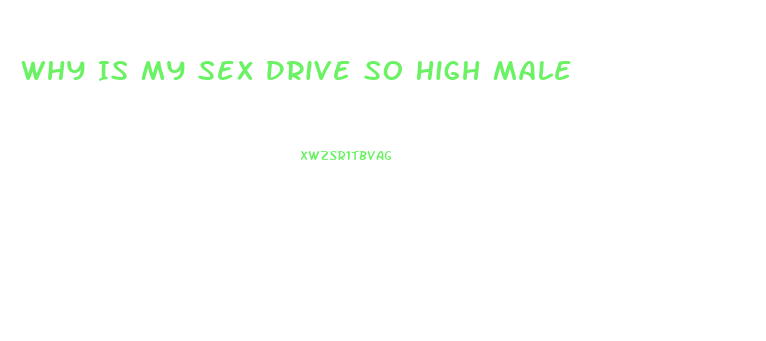 Why Is My Sex Drive So High Male