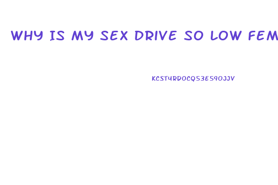 Why Is My Sex Drive So Low Female