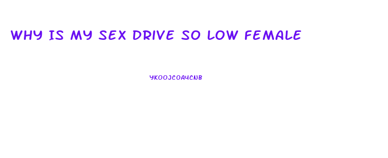 Why Is My Sex Drive So Low Female