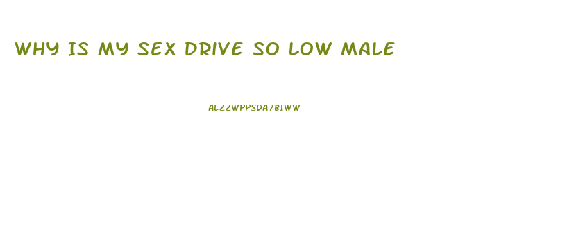 Why Is My Sex Drive So Low Male