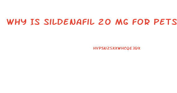 Why Is Sildenafil 20 Mg For Pets Cheaper Than For Humans