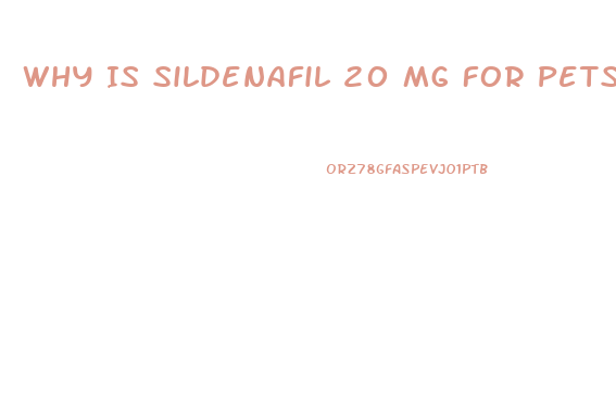 Why Is Sildenafil 20 Mg For Pets Cheaper Than For Humans