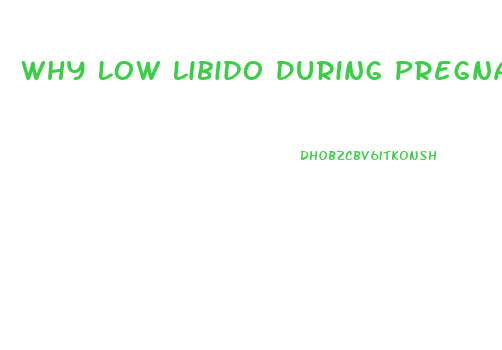 Why Low Libido During Pregnancy