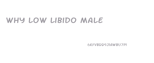 Why Low Libido Male