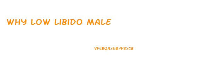 Why Low Libido Male