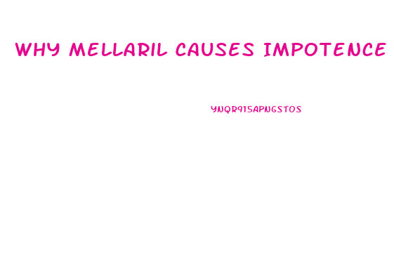 Why Mellaril Causes Impotence
