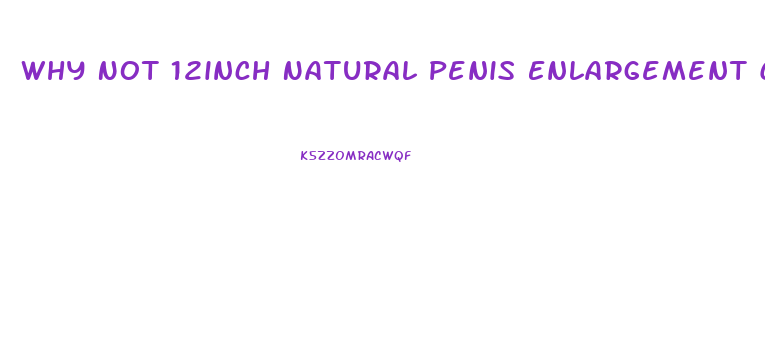 Why Not 12inch Natural Penis Enlargement Cream Revies