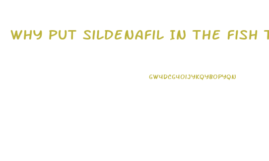 Why Put Sildenafil In The Fish Tank