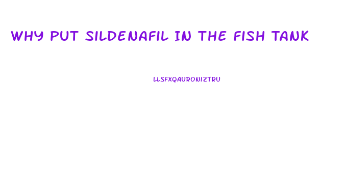 Why Put Sildenafil In The Fish Tank