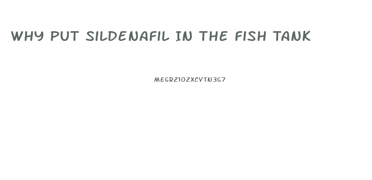 Why Put Sildenafil In The Fish Tank