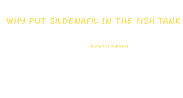 Why Put Sildenafil In The Fish Tank