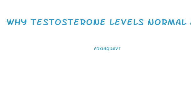 Why Testosterone Levels Normal But Still No Libido