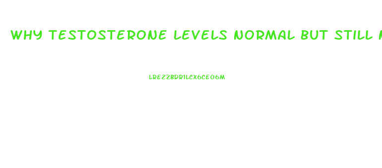 Why Testosterone Levels Normal But Still No Libido