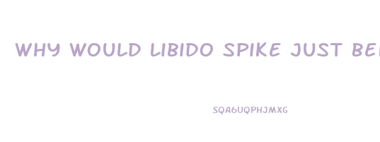 Why Would Libido Spike Just Before Period
