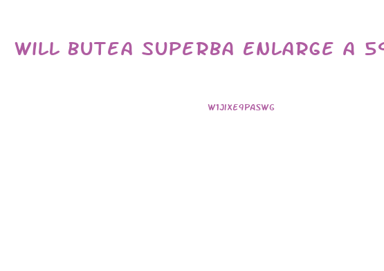 Will Butea Superba Enlarge A 59 Year Old Mans Penis