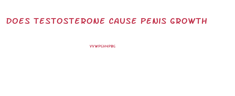 does testosterone cause penis growth