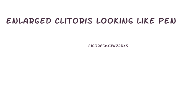 enlarged clitoris looking like penis humain hermaphrodite